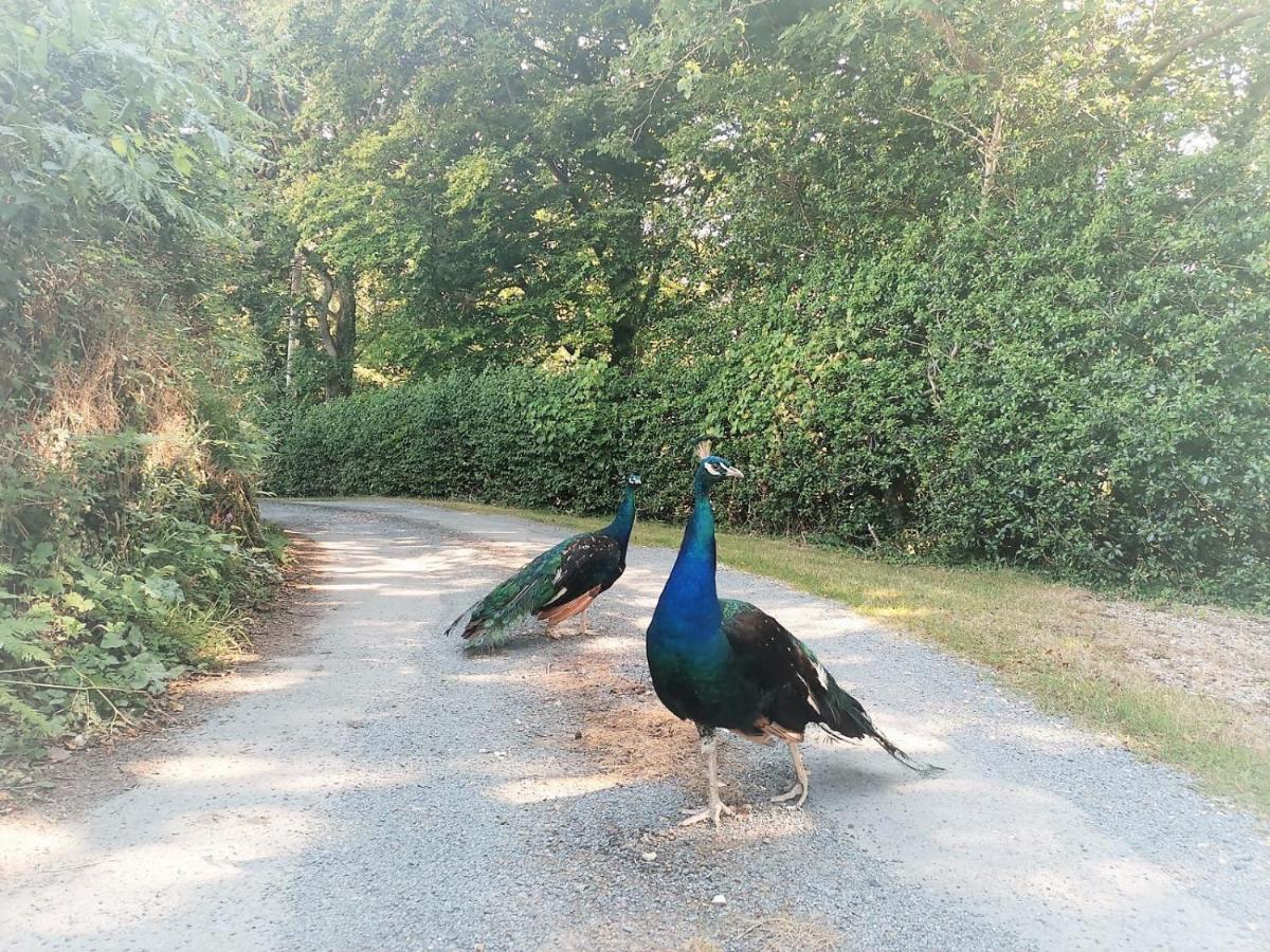 Greenways Valley Holiday Park เกรททอร์ริงตัน ภายนอก รูปภาพ