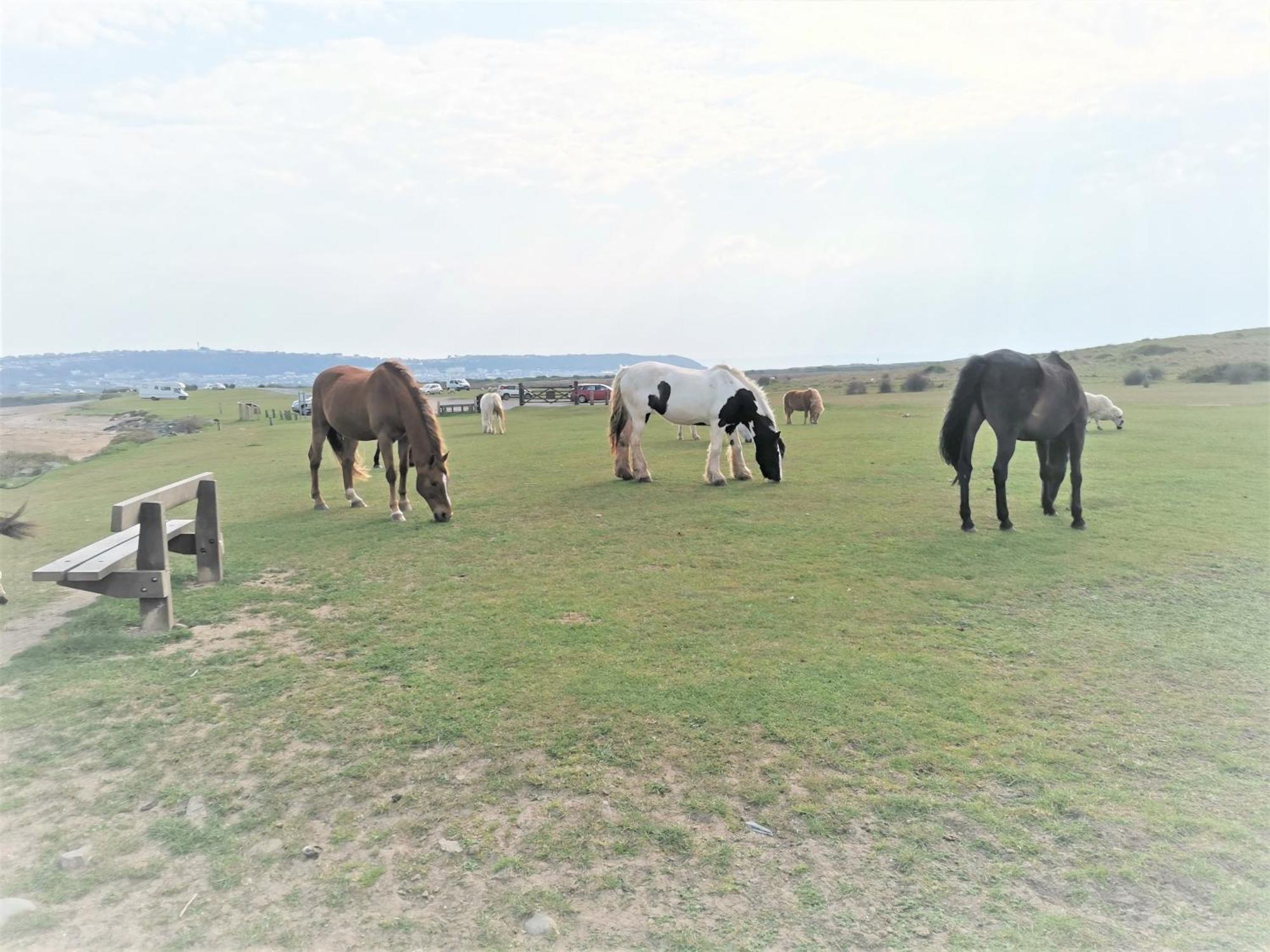 Greenways Valley Holiday Park เกรททอร์ริงตัน ภายนอก รูปภาพ