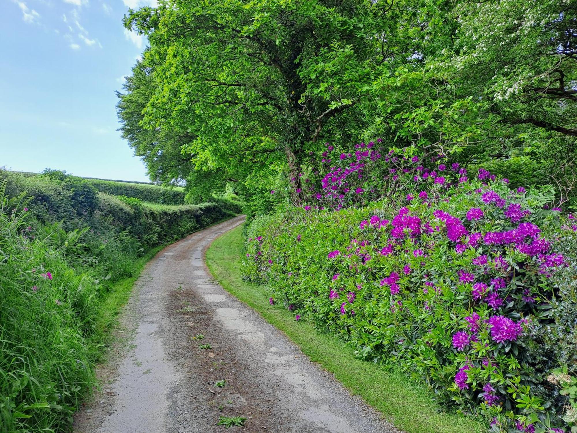 Greenways Valley Holiday Park เกรททอร์ริงตัน ภายนอก รูปภาพ